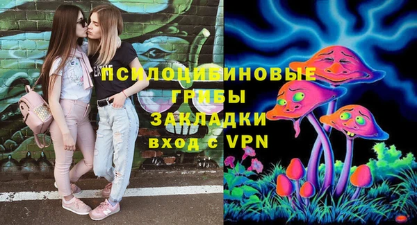 spice Алексин