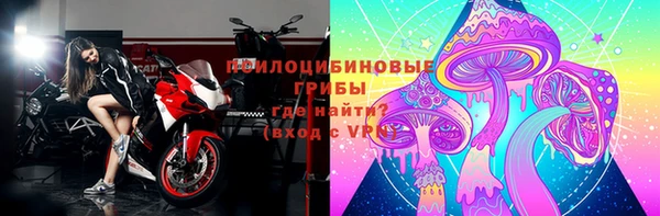 spice Алексин